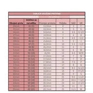 2U1 granat / square/ prsten